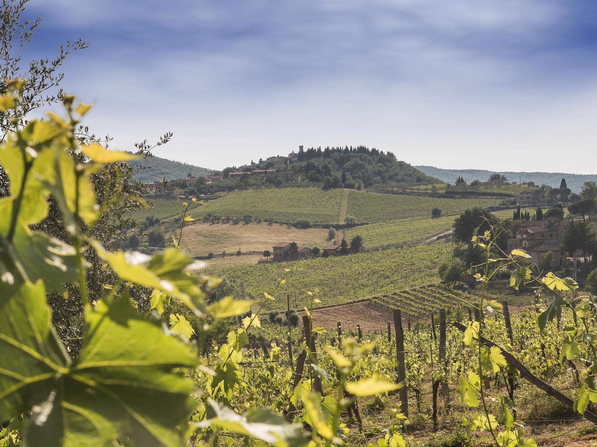 Relais Santa Cristina Pensionat Radda in Chianti Exteriör bild