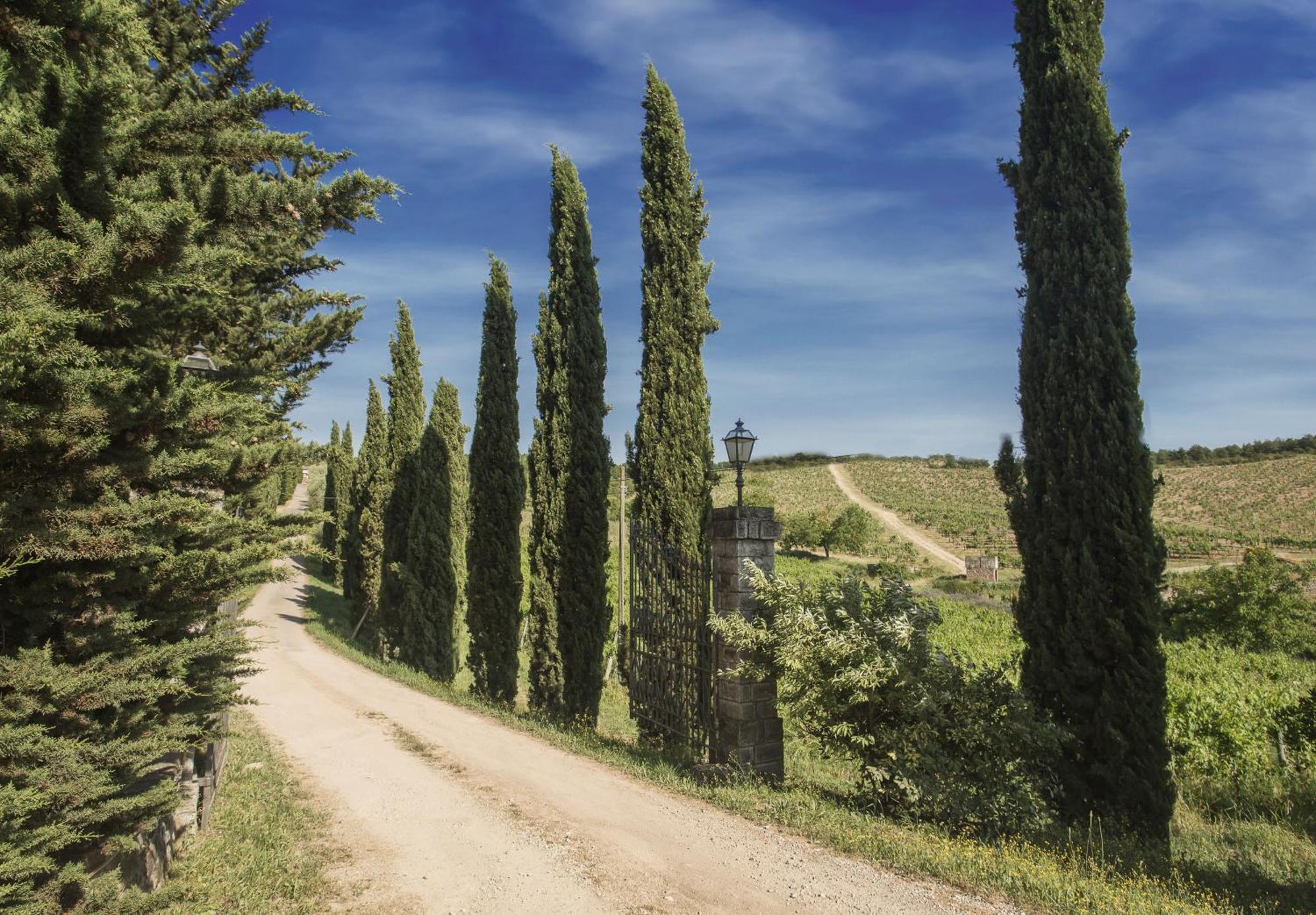 Relais Santa Cristina Pensionat Radda in Chianti Exteriör bild