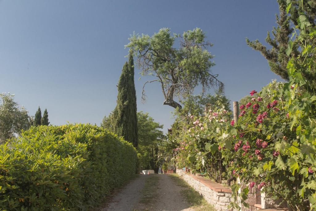 Relais Santa Cristina Pensionat Radda in Chianti Exteriör bild
