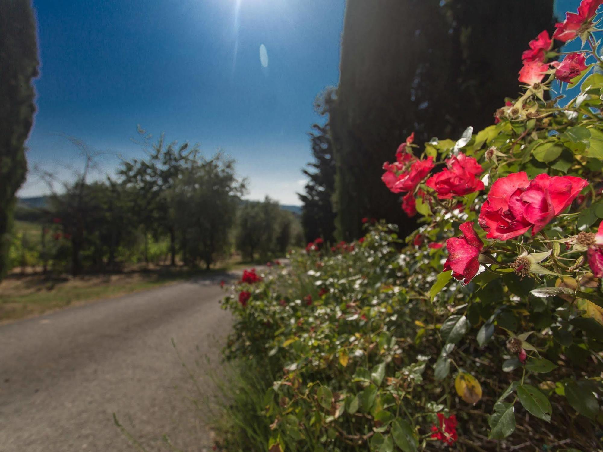 Relais Santa Cristina Pensionat Radda in Chianti Exteriör bild